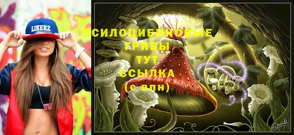 винт Алзамай