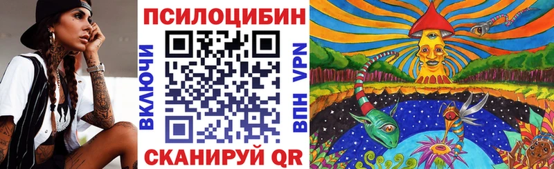 где продают наркотики  Ступино  Псилоцибиновые грибы GOLDEN TEACHER 